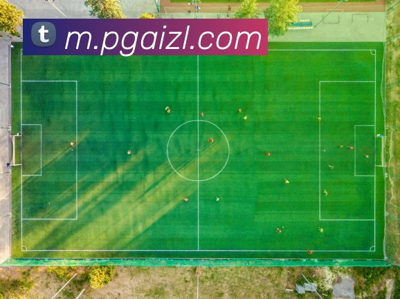 pgAPP 封面图